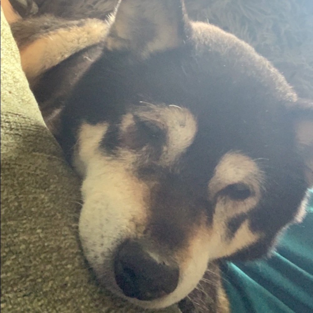 Meet your Posher, Ellie